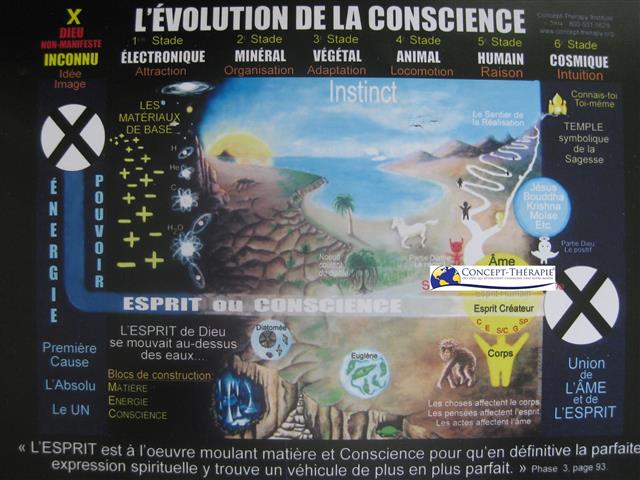 L'évolution de la conscience